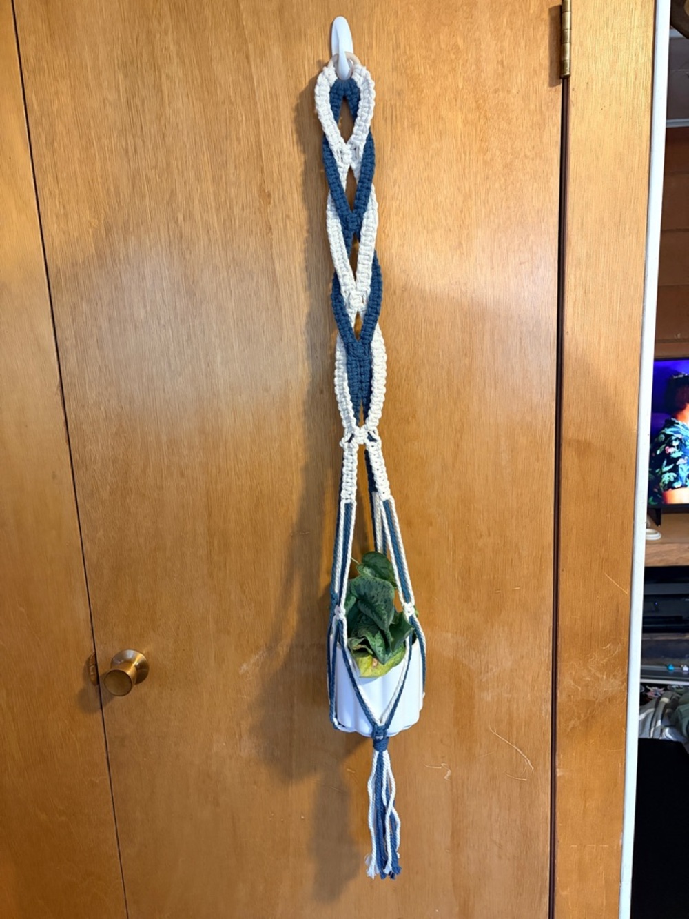 Handmade Macrame Plant Hanger. PLANT AND POT NOT INCLUDED.